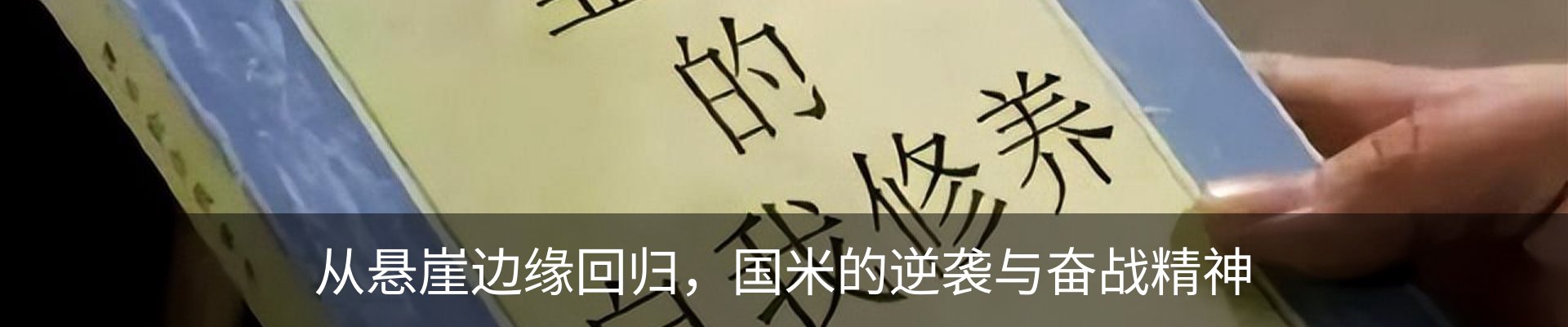 内页banner